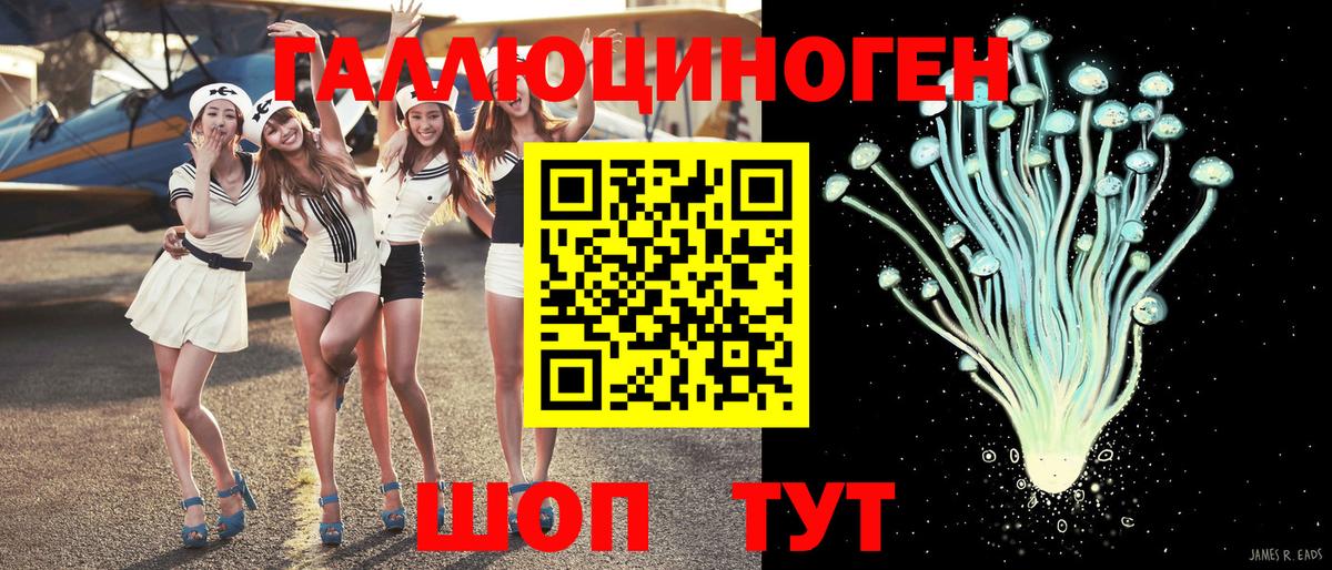Псилоцибиновые грибы мицелий Элиста