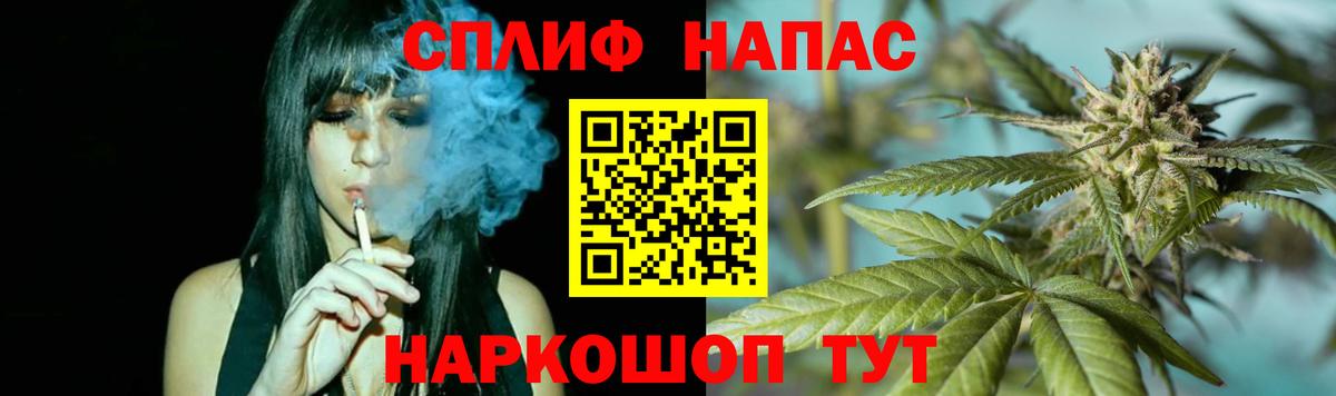 Бошки марихуана план  Марихуана семена  Элиста  Вход с VPN  Шишки марихуана семена 